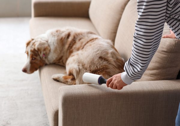 איך לנקות ספה מבד – שיטות, חומרים וטיפים לניקוי ביתי