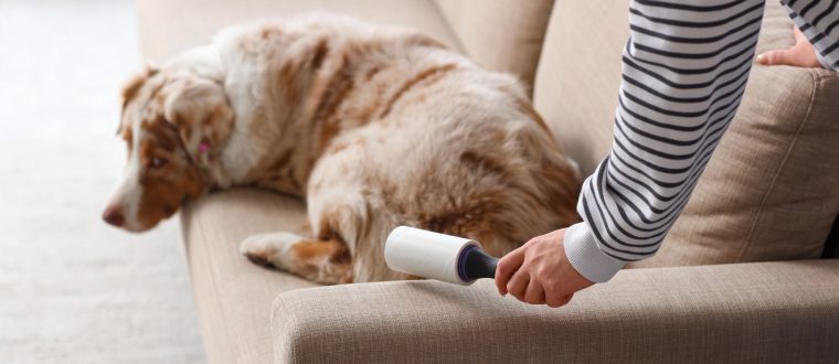 איך לנקות ספה מבד – שיטות, חומרים וטיפים לניקוי ביתי